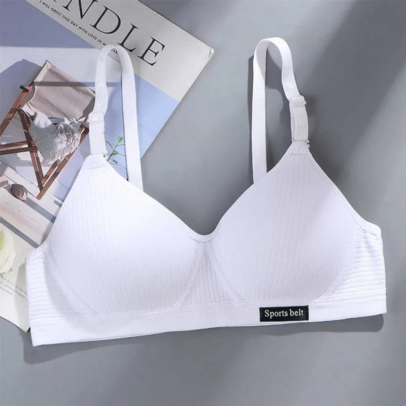 3-Pack Women's Wireless Bra – Seamless Thin Padded V-Shape Everyday Comfort Bra