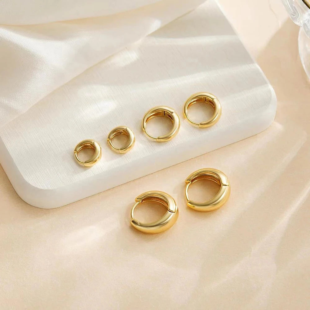 Minimalist Stainless Steel Huggie Hoop Earrings – 2pcs Gold & Silver