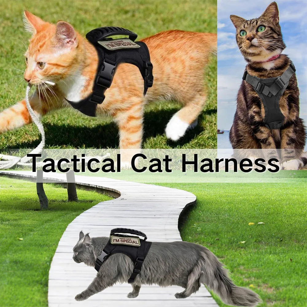 Arnés Táctico para Perros y Gatos con Correa – Chaleco de Malla Suave Ajustable con Asa