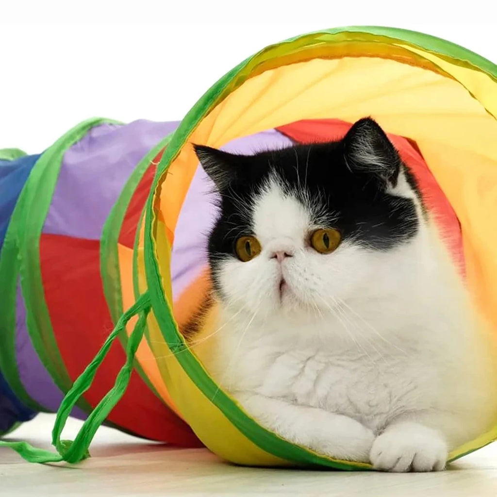 Túnel de juguete plegable para gatos – Túnel de juego interactivo plegable para gatos, gatitos y conejos