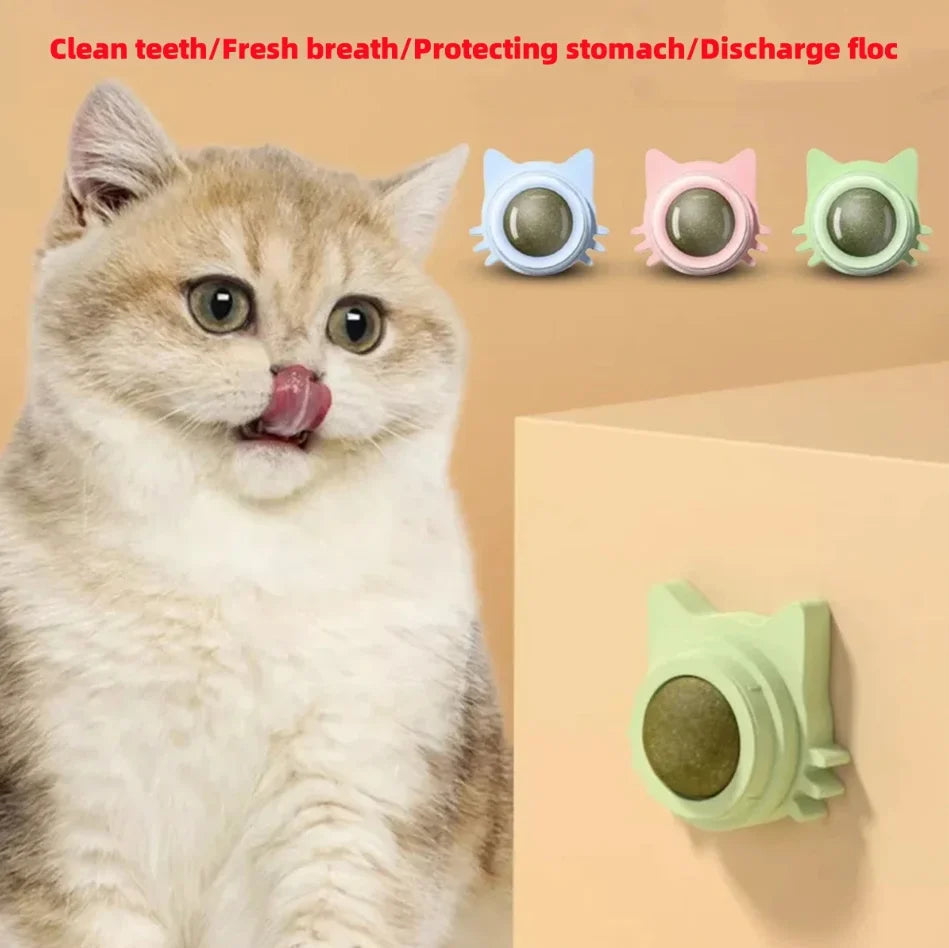 Bola giratoria interactiva de hierba gatera para gatos