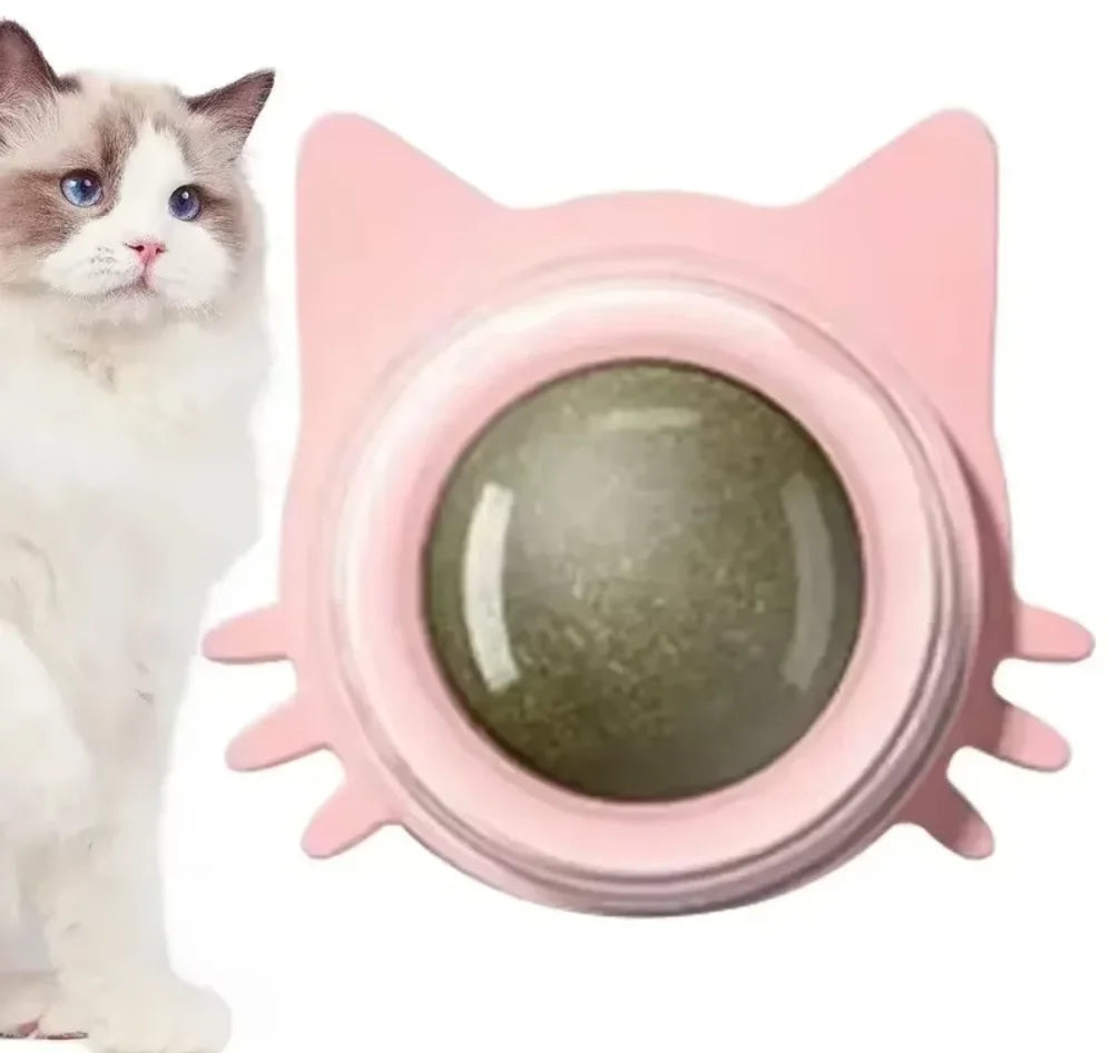 Interactive Catnip Wall Spin Ball for Cats